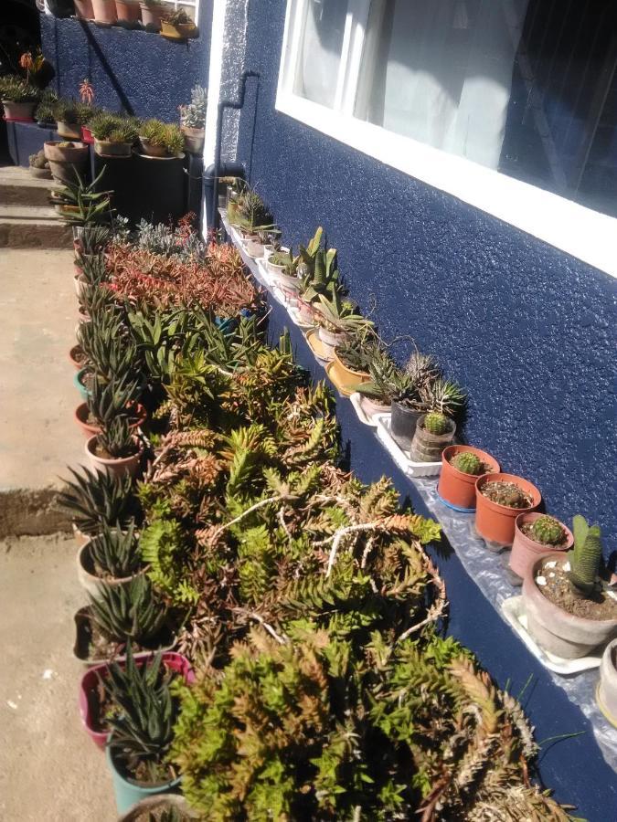 Havilah House Baguio City Exterior foto
